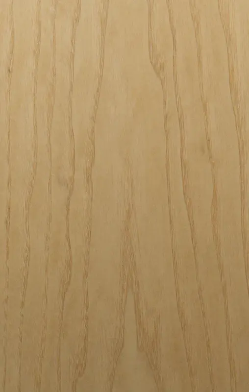 A close up image of European Ash wooden surface.