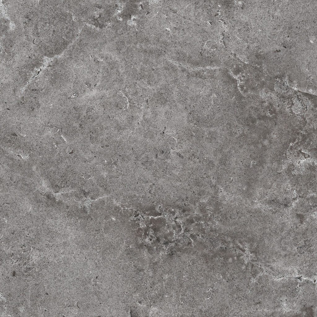 A gray stone surface with some white spots