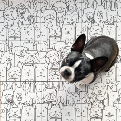 A boston terrier standing in front of a drawing of Pawsh Pups.