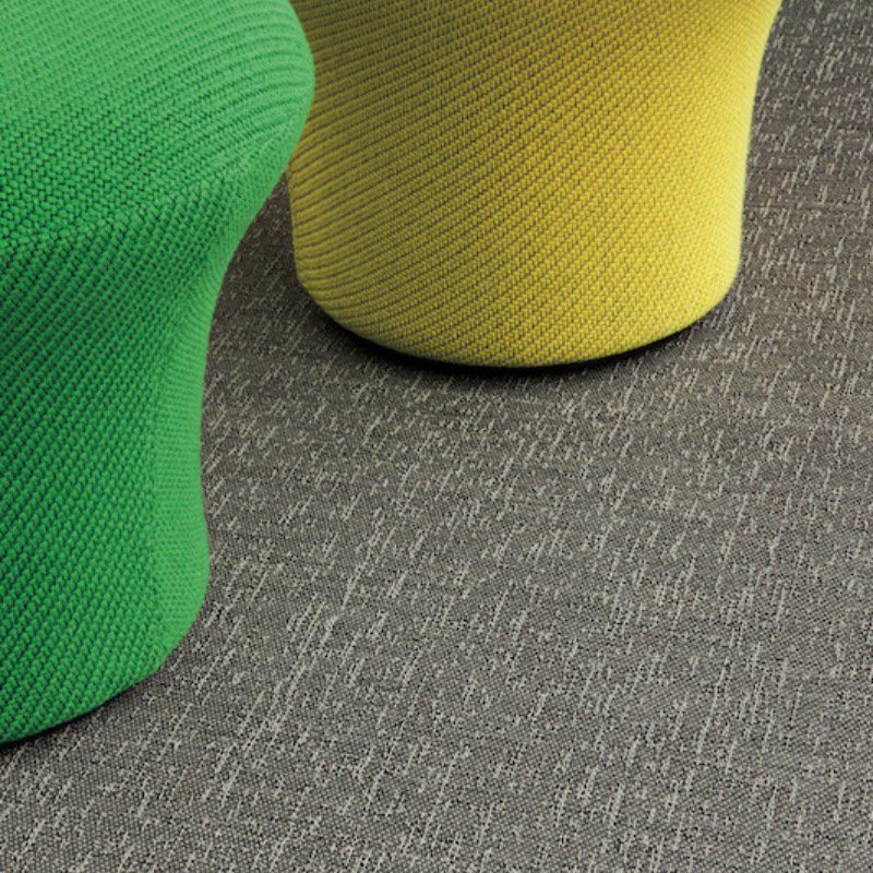 Two green and yellow Juno on a grey carpet.